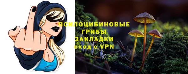 молекула духа Балабаново