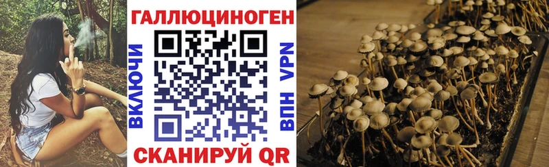 Галлюциногенные грибы Magic Shrooms  Купить  Верещагино 